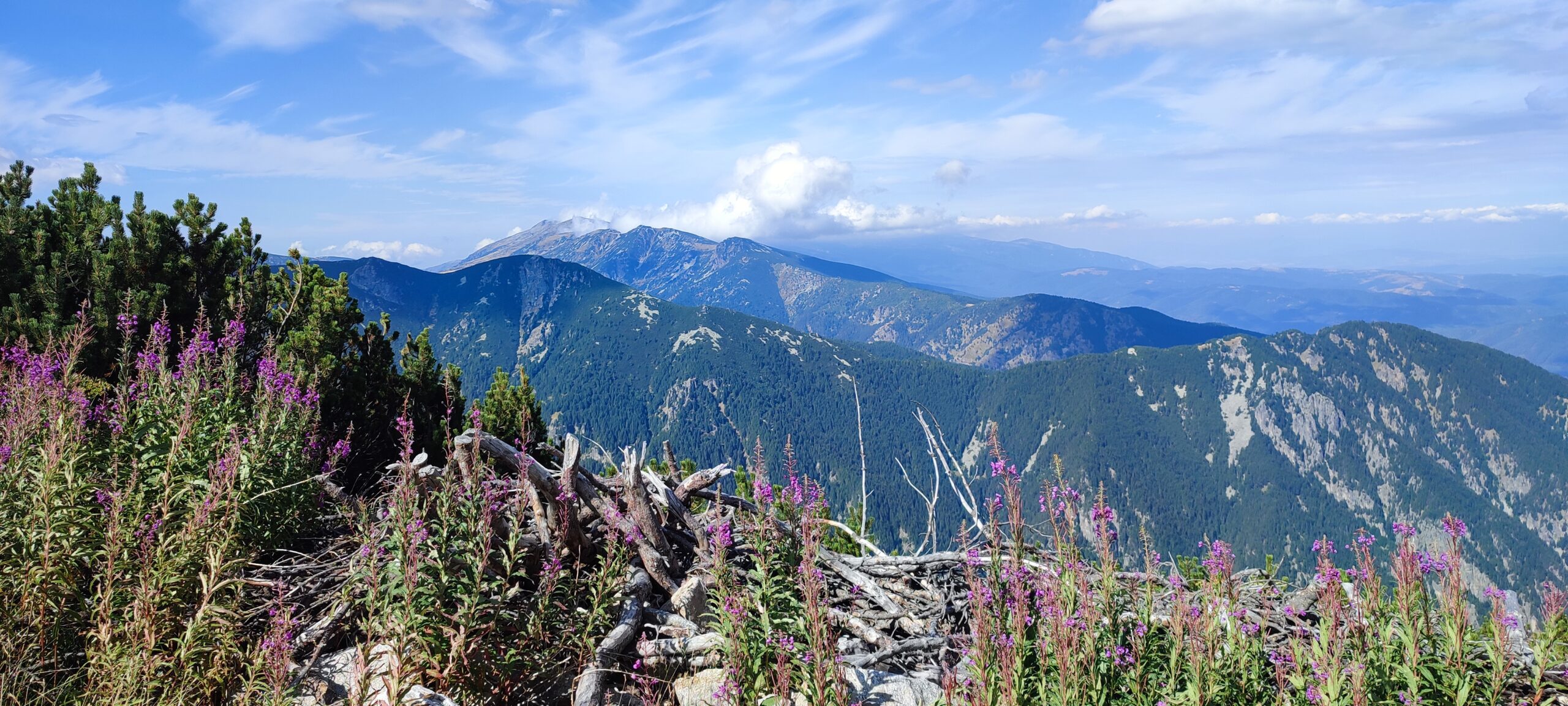 PTouche - Retreats & Voyages personnalisés en Bulgarie